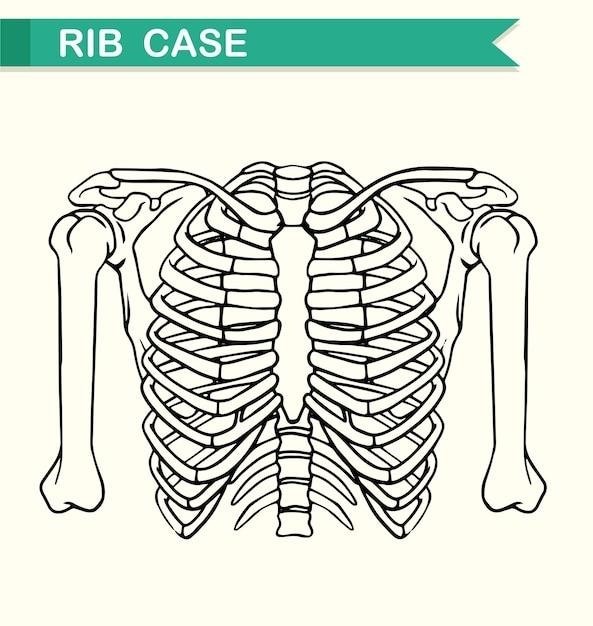 skeletal system pdf worksheets