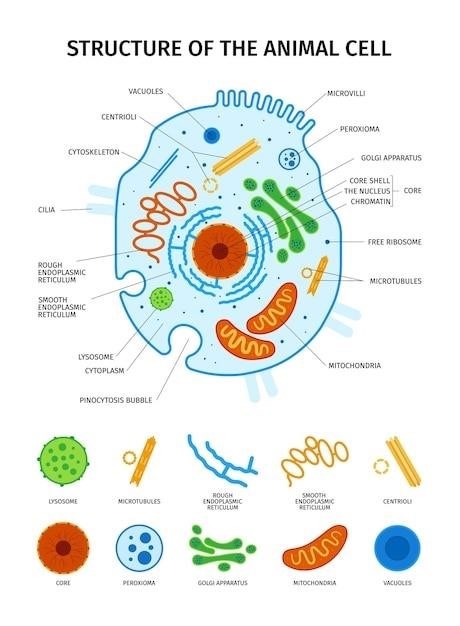 ap biology protein structure pogil answer key pdf